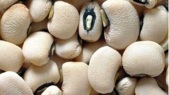 Beans