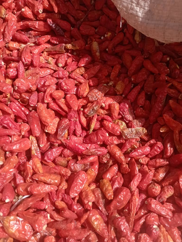 Red Chili Pepper