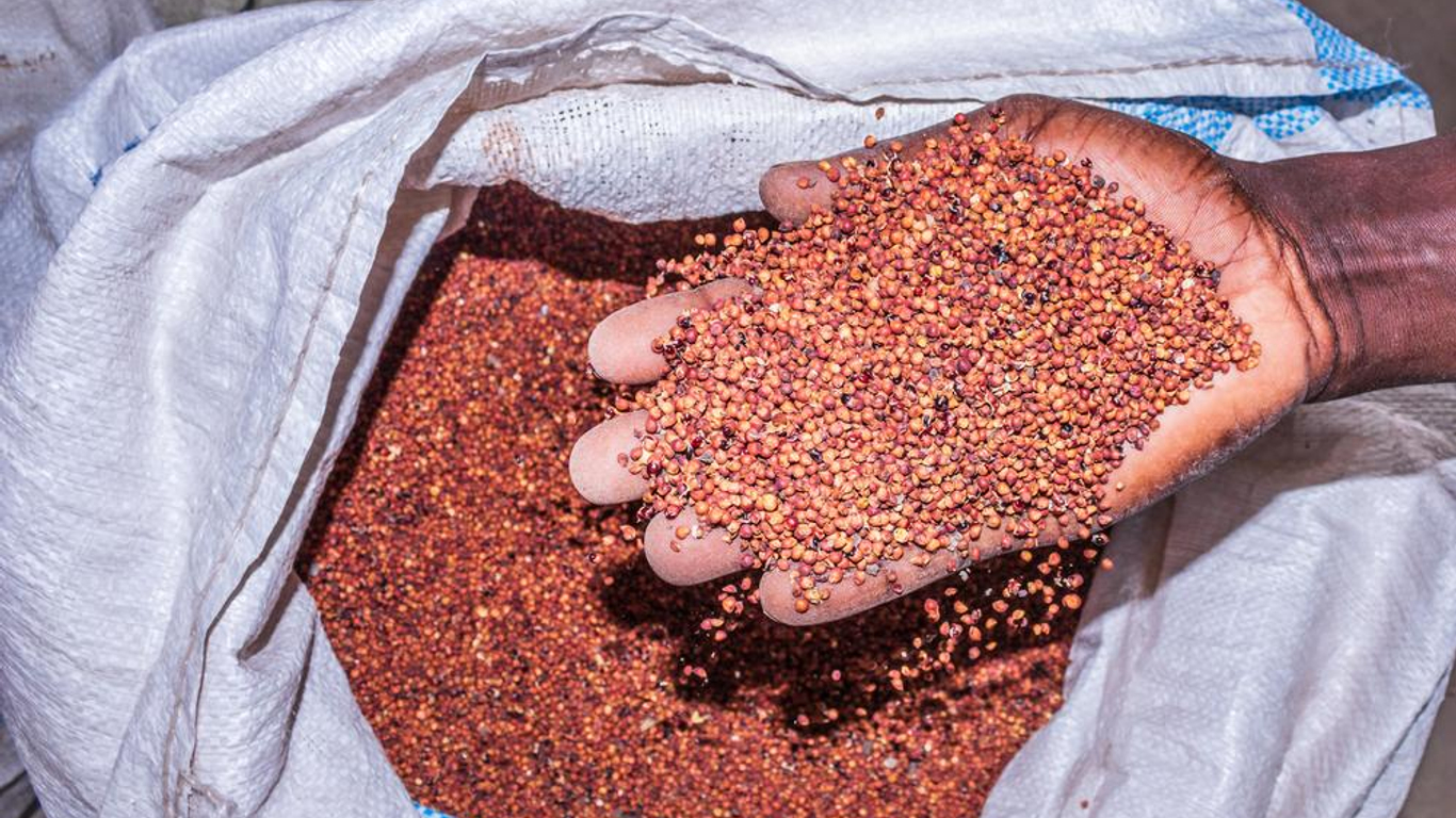 Millet
