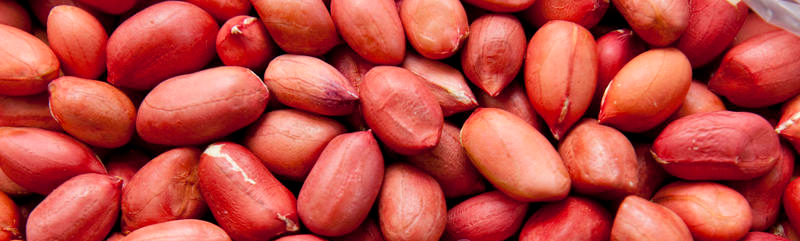Peanuts