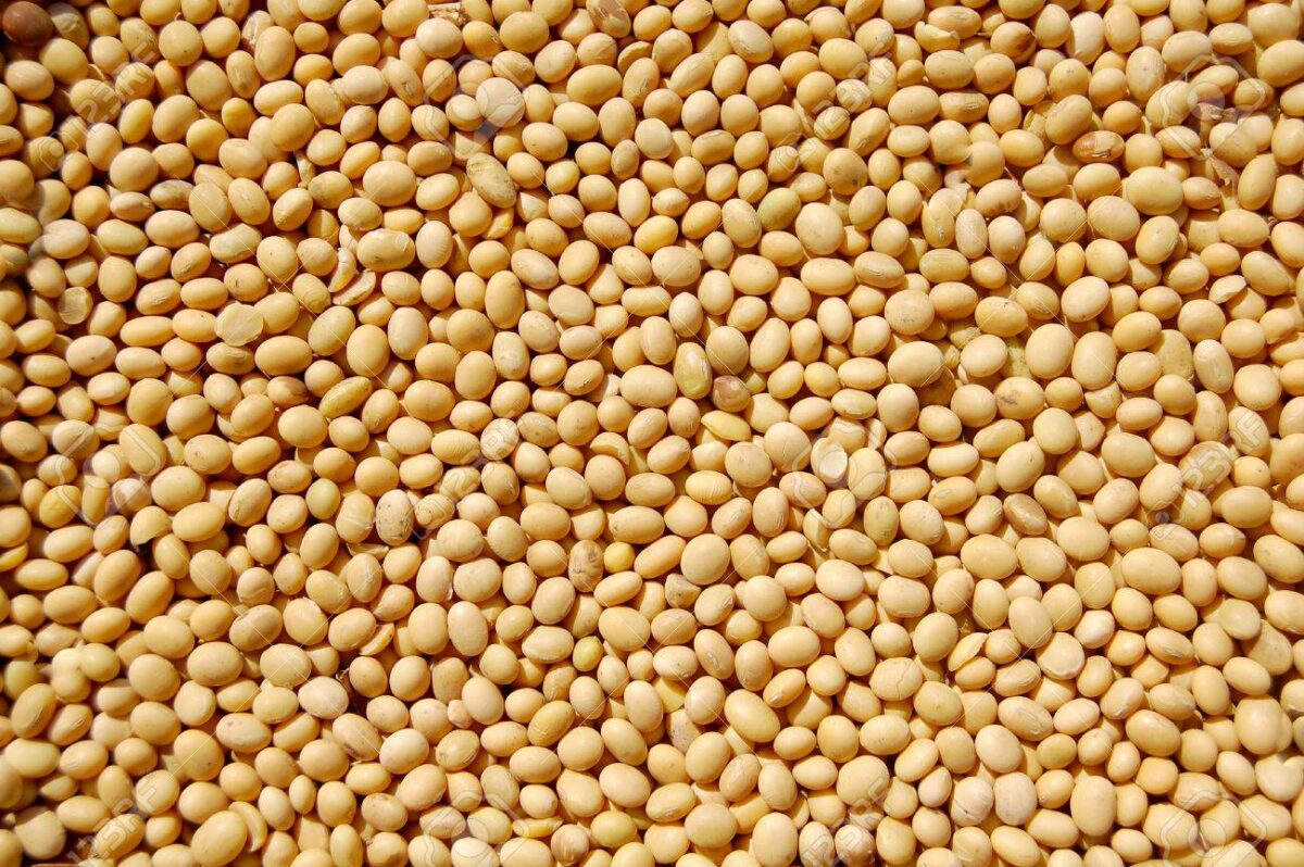 Soybeans