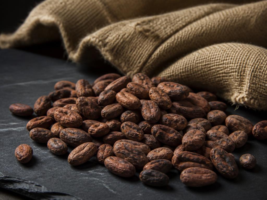 Cocoa Beans